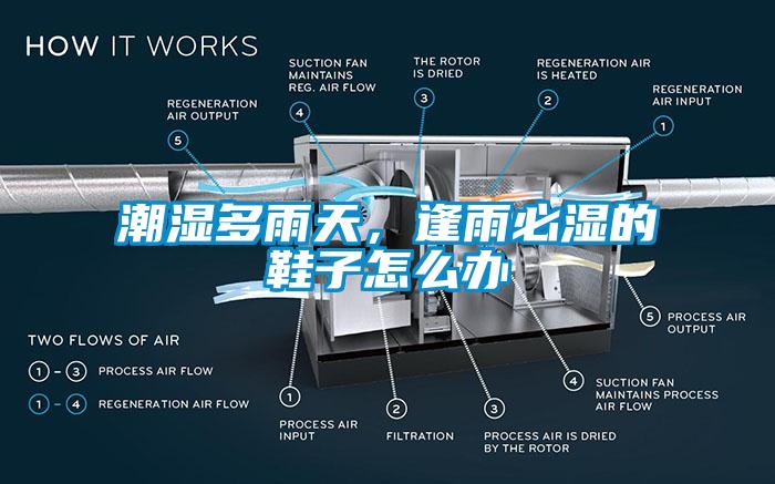 潮湿多雨天，逢雨必湿的鞋子怎么办