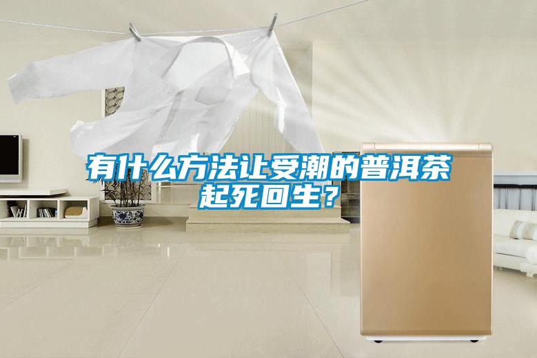 有什么方法让受潮的普洱茶起死回生？