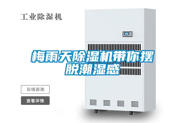 梅雨天茄子视频懂你更多在线观看带你摆脱潮湿感