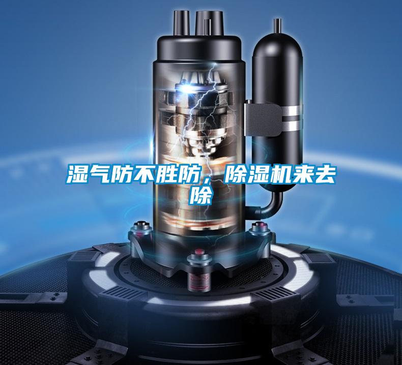 湿气防不胜防，茄子视频懂你更多在线观看来去除