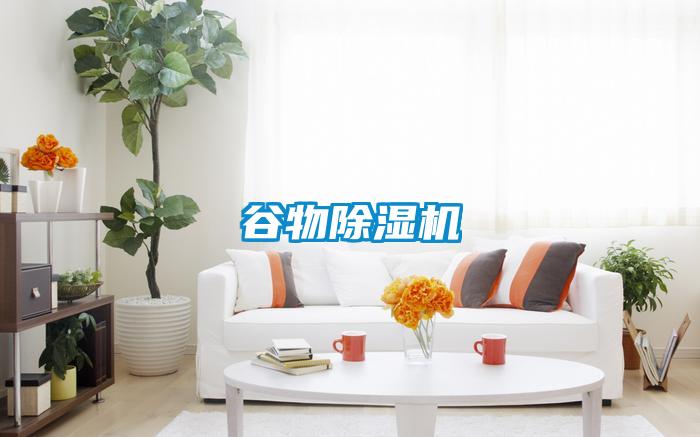 谷物茄子视频懂你更多在线观看