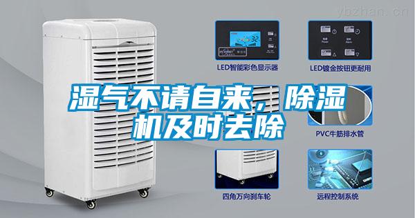 湿气不请自来，茄子视频懂你更多在线观看及时去除