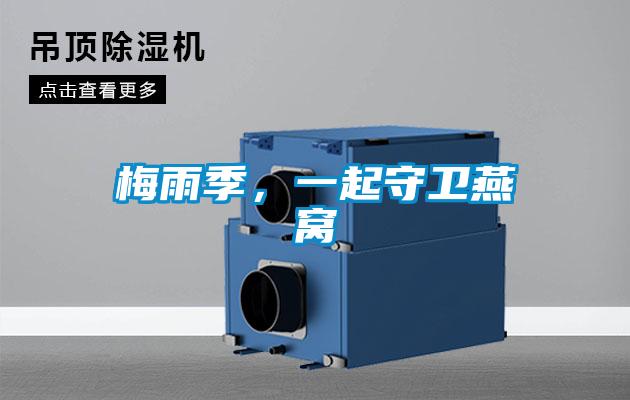 梅雨季，一起守卫燕窝