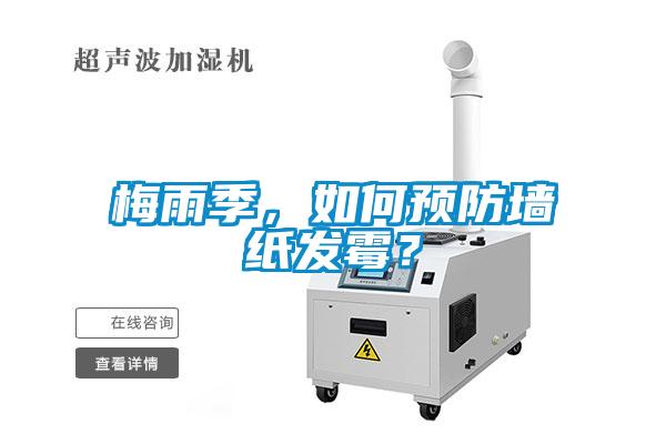 梅雨季，如何预防墙纸发霉？