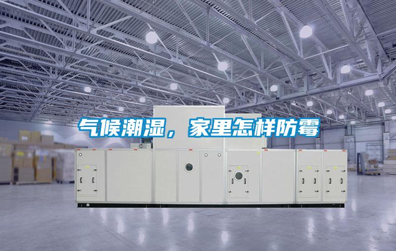 气候潮湿，家里怎样防霉