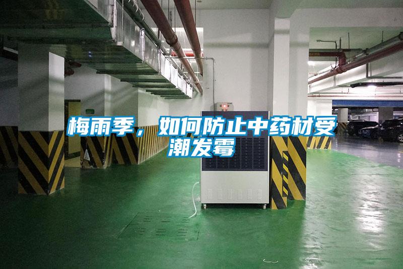 梅雨季，如何防止中药材受潮发霉