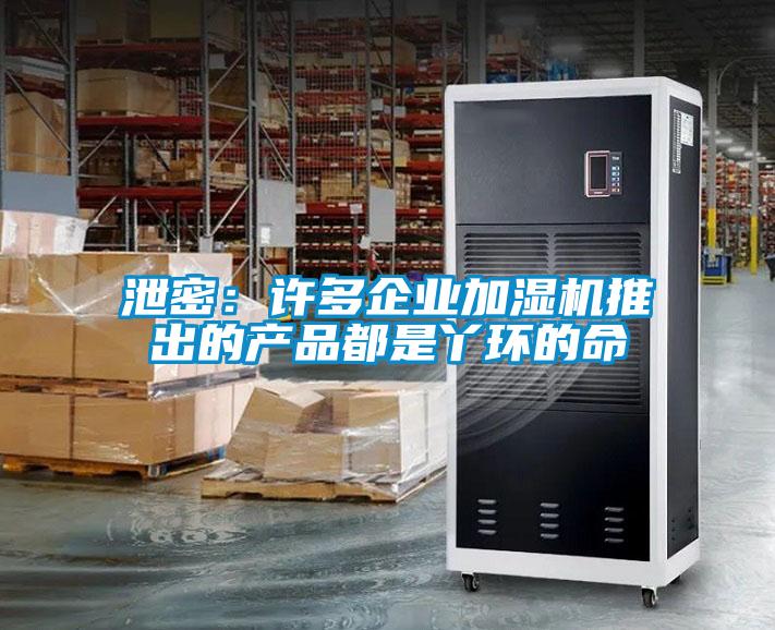 泄密：许多企业加湿机推出的产品都是丫环的命