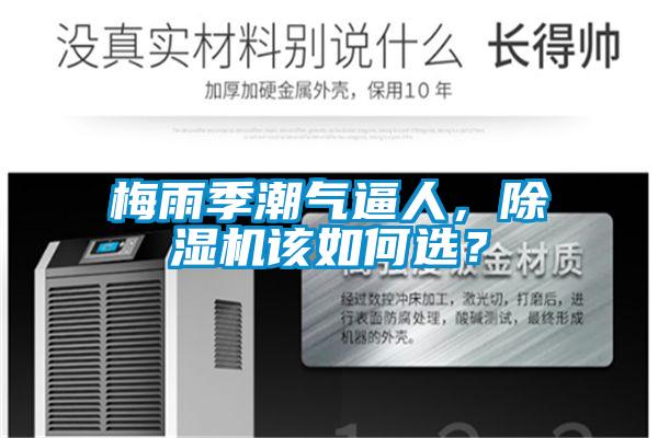 梅雨季潮气逼人，茄子视频懂你更多在线观看该如何选？