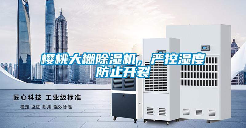 樱桃大棚茄子视频懂你更多在线观看，严控湿度防止开裂