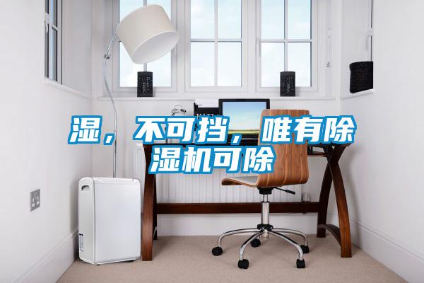 湿，不可挡，唯有茄子视频懂你更多在线观看可除