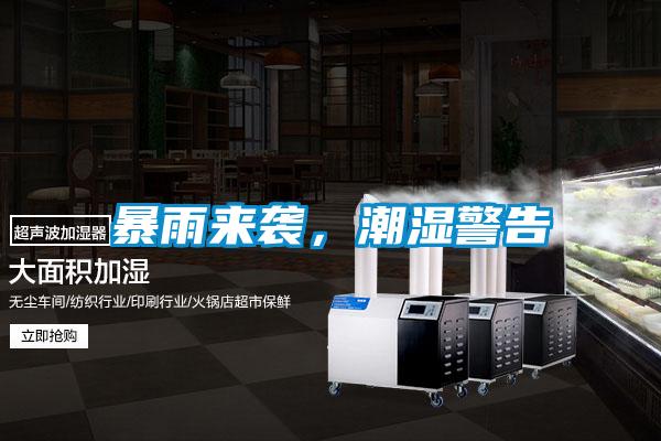 暴雨来袭，潮湿警告