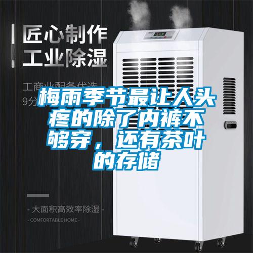 梅雨季节最让人头疼的除了内裤不够穿，还有茶叶的存储