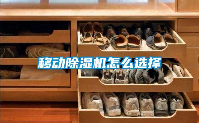 移动茄子视频懂你更多在线观看怎么选择