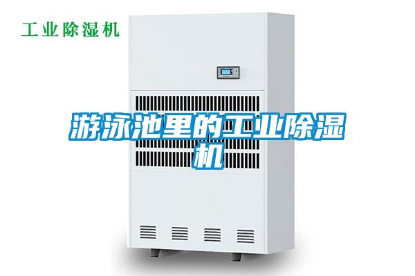 游泳池里的工业茄子视频懂你更多在线观看