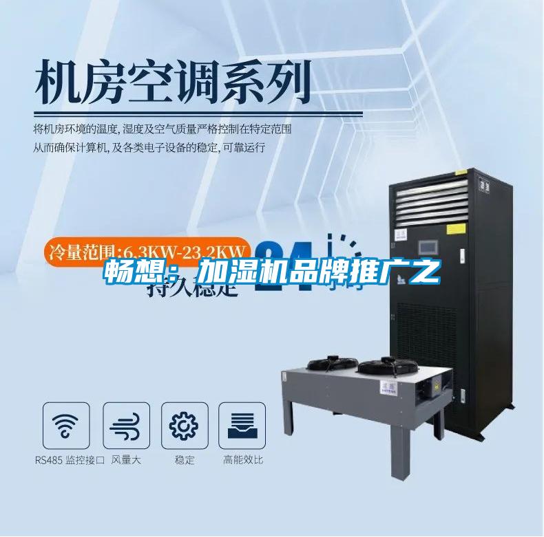 畅想：加湿机品牌推广之