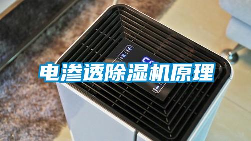 电渗透茄子视频懂你更多在线观看原理