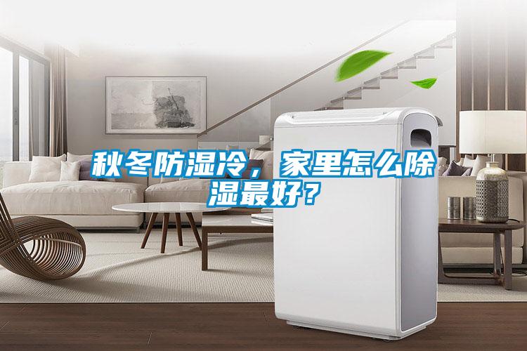 秋冬防湿冷，家里怎么除湿最好？