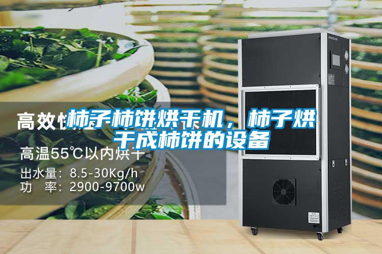 柿子柿饼烘干机，柿子烘干成柿饼的设备