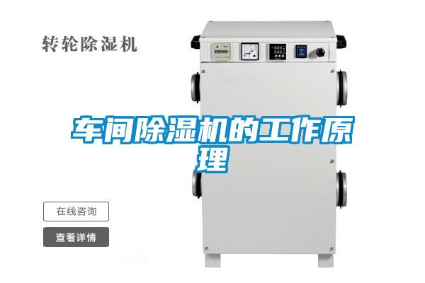 车间茄子视频懂你更多在线观看的工作原理