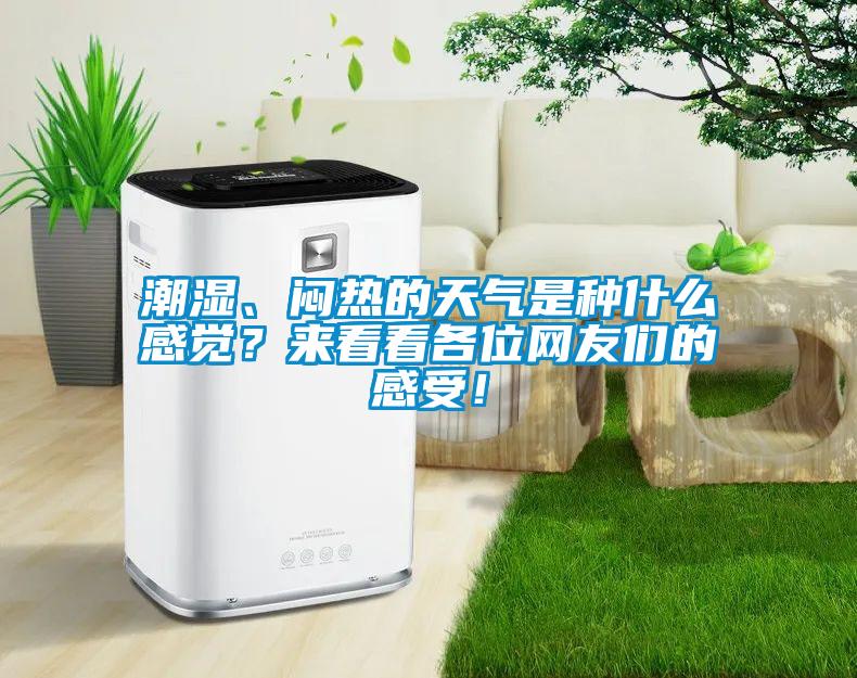 潮湿、闷热的天气是种什么感觉？来看看各位网友们的感受！