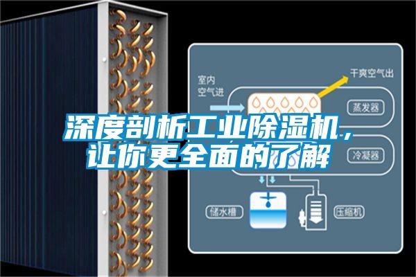 深度剖析工业茄子视频懂你更多在线观看，让你更全面的了解