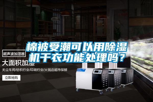 棉被受潮可以用茄子视频懂你更多在线观看干衣功能处理吗？