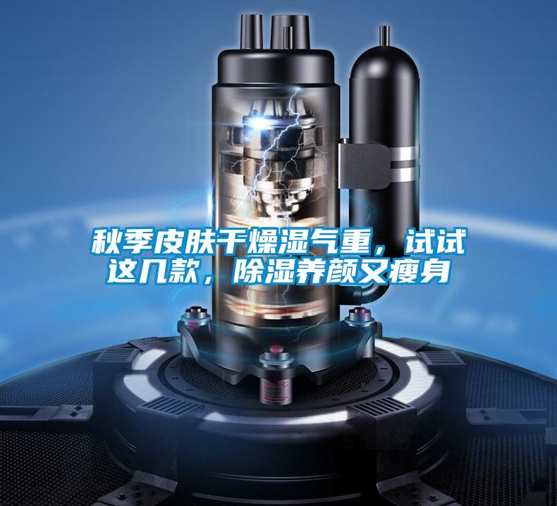 秋季皮肤干燥湿气重，试试这几款，除湿养颜又瘦身