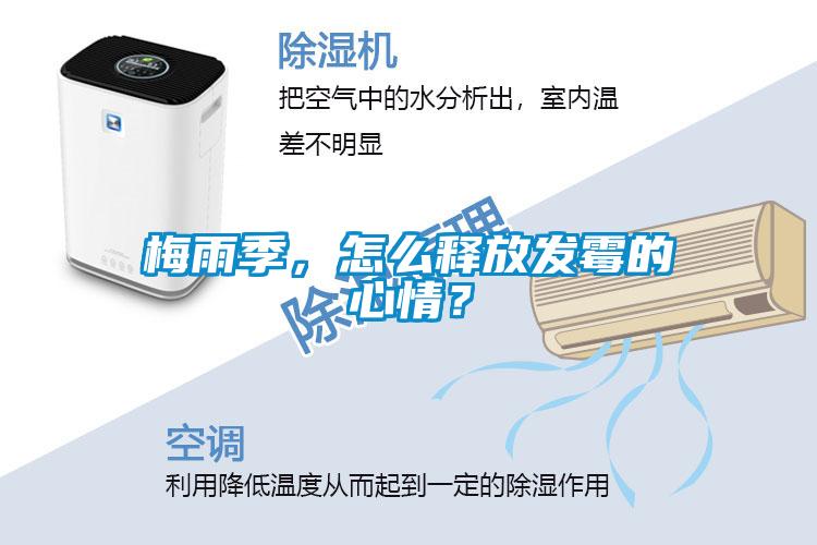 梅雨季，怎么释放发霉的心情？