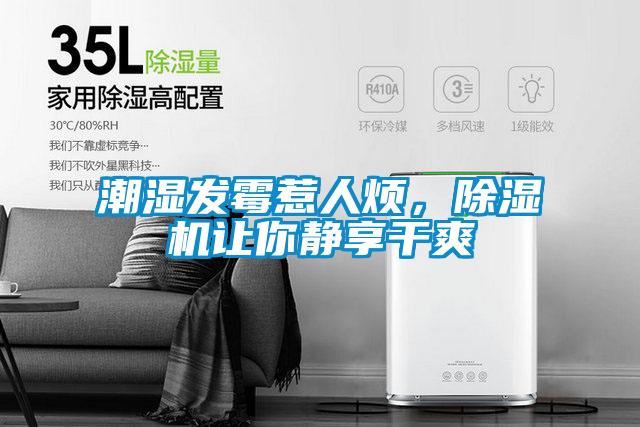 潮湿发霉惹人烦，茄子视频懂你更多在线观看让你静享干爽