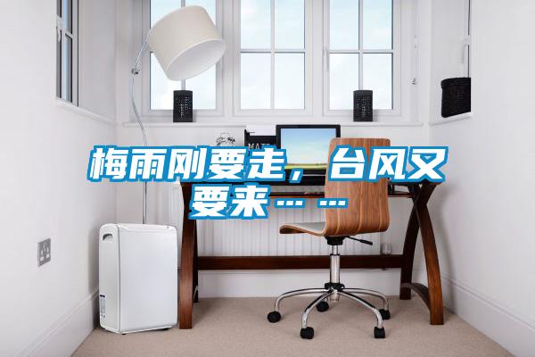 梅雨刚要走，台风又要来……