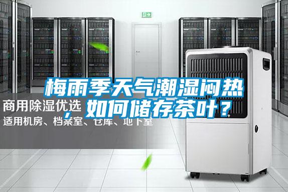 梅雨季天气潮湿闷热，如何储存茶叶？