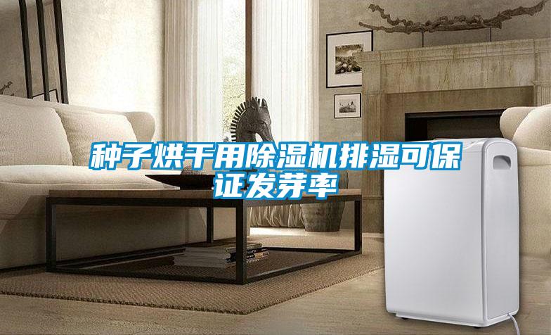 种子烘干用茄子视频懂你更多在线观看排湿可保证发芽率