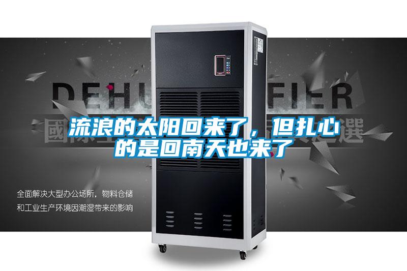 流浪的太阳回来了，但扎心的是回南天也来了