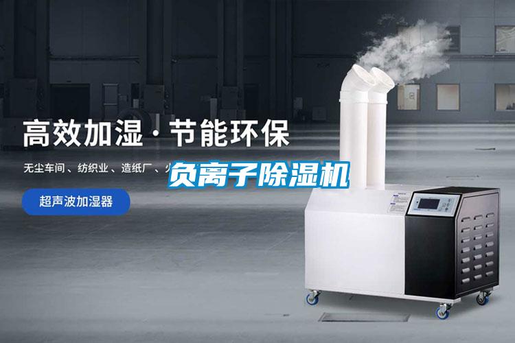 负离子茄子视频懂你更多在线观看