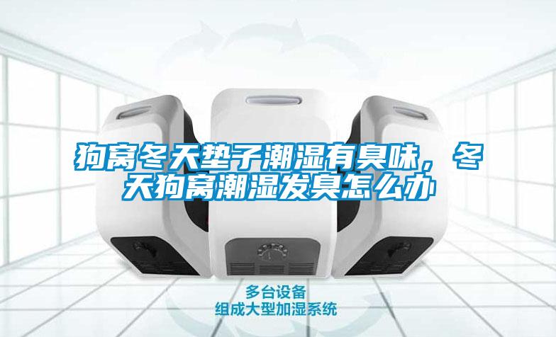 狗窝冬天垫子潮湿有臭味，冬天狗窝潮湿发臭怎么办