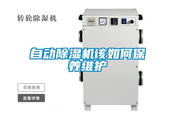 自动茄子视频懂你更多在线观看该如何保养维护