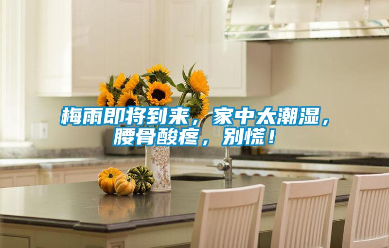 梅雨即将到来，家中太潮湿，腰骨酸疼，别慌！