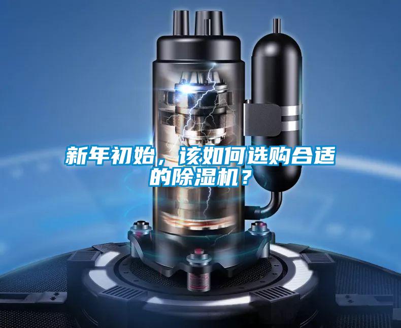 新年初始，该如何选购合适的茄子视频懂你更多在线观看？