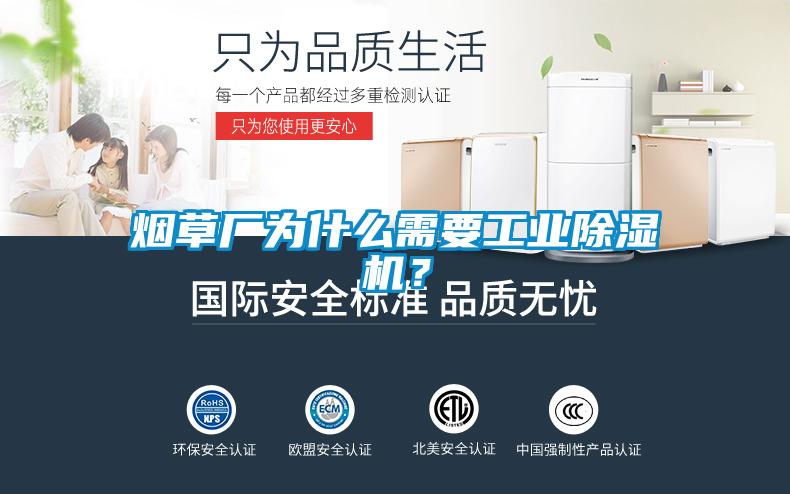 烟草厂为什么需要工业茄子视频懂你更多在线观看？