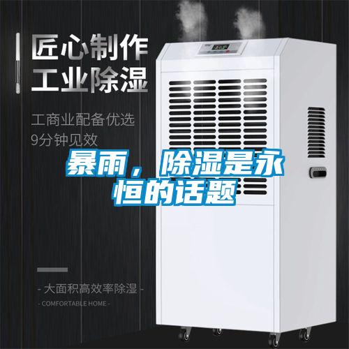 暴雨，除湿是永恒的话题