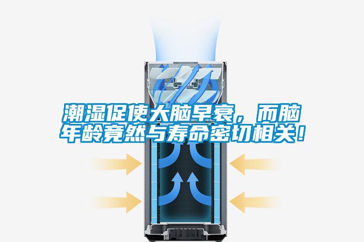 潮湿促使大脑早衰，而脑年龄竟然与寿命密切相关！