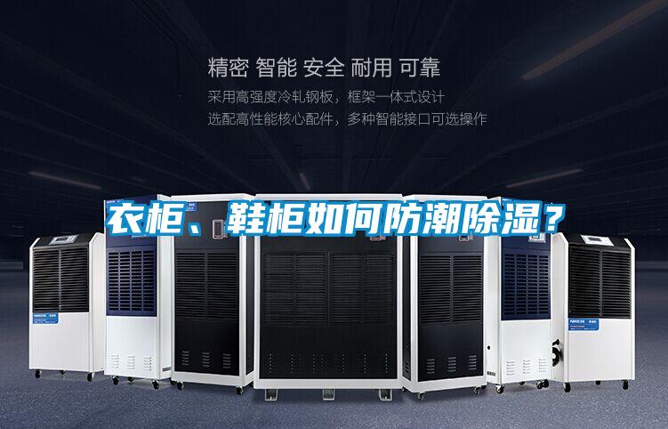 衣柜、鞋柜如何防潮除湿？