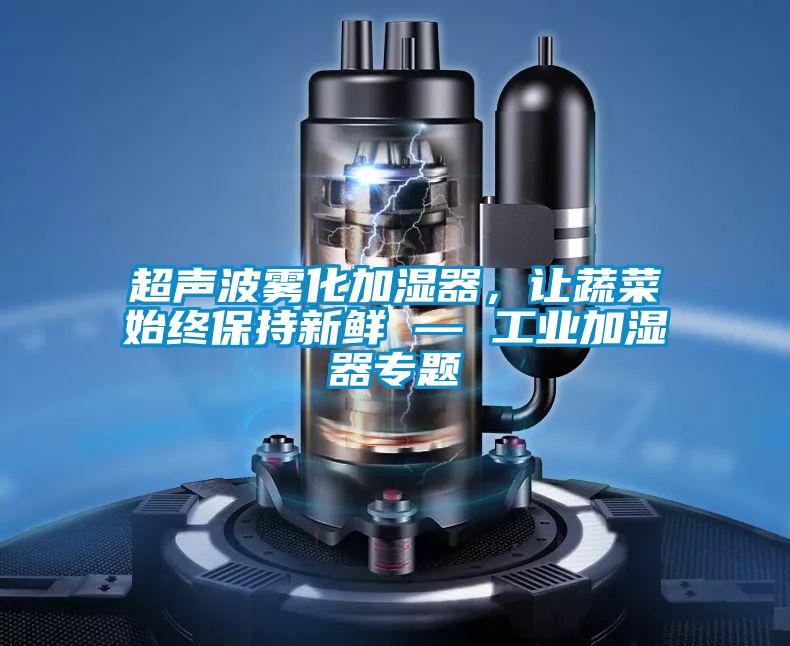 超声波雾化加湿器，让蔬菜始终保持新鲜 — 工业加湿器专题