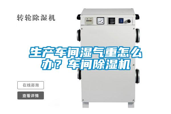 生产车间湿气重怎么办？车间茄子视频懂你更多在线观看