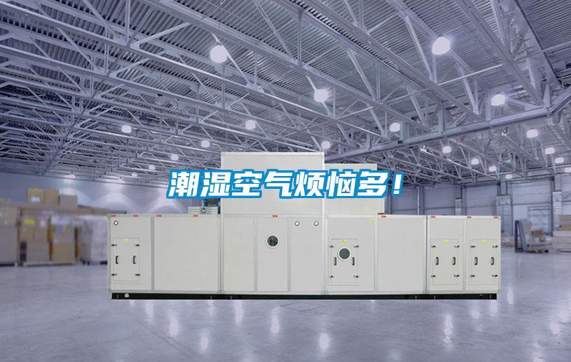 潮湿空气烦恼多！