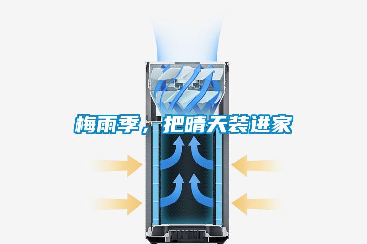 梅雨季，把晴天装进家