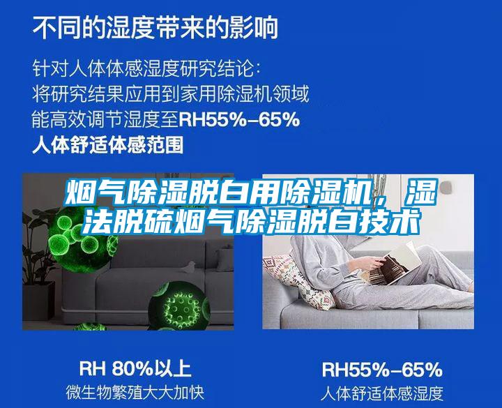 烟气除湿脱白用茄子视频懂你更多在线观看，湿法脱硫烟气除湿脱白技术