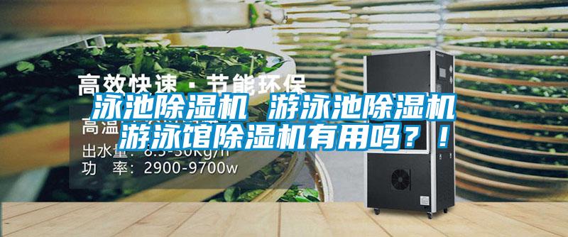 泳池茄子视频懂你更多在线观看 游泳池茄子视频懂你更多在线观看 游泳馆茄子视频懂你更多在线观看有用吗？！