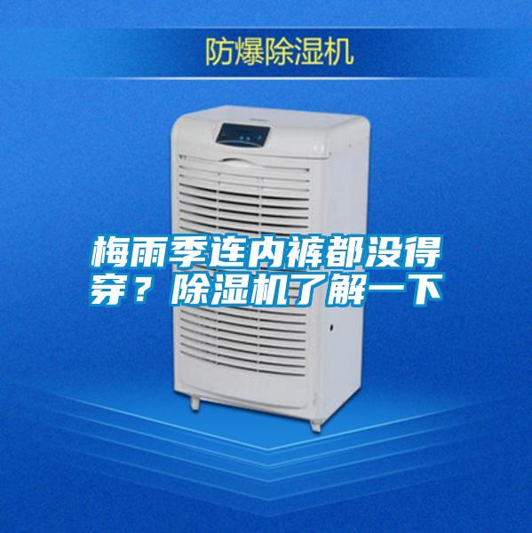 梅雨季连内裤都没得穿？茄子视频懂你更多在线观看了解一下