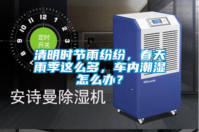 清明时节雨纷纷，春天雨季这么多，车内潮湿怎么办？